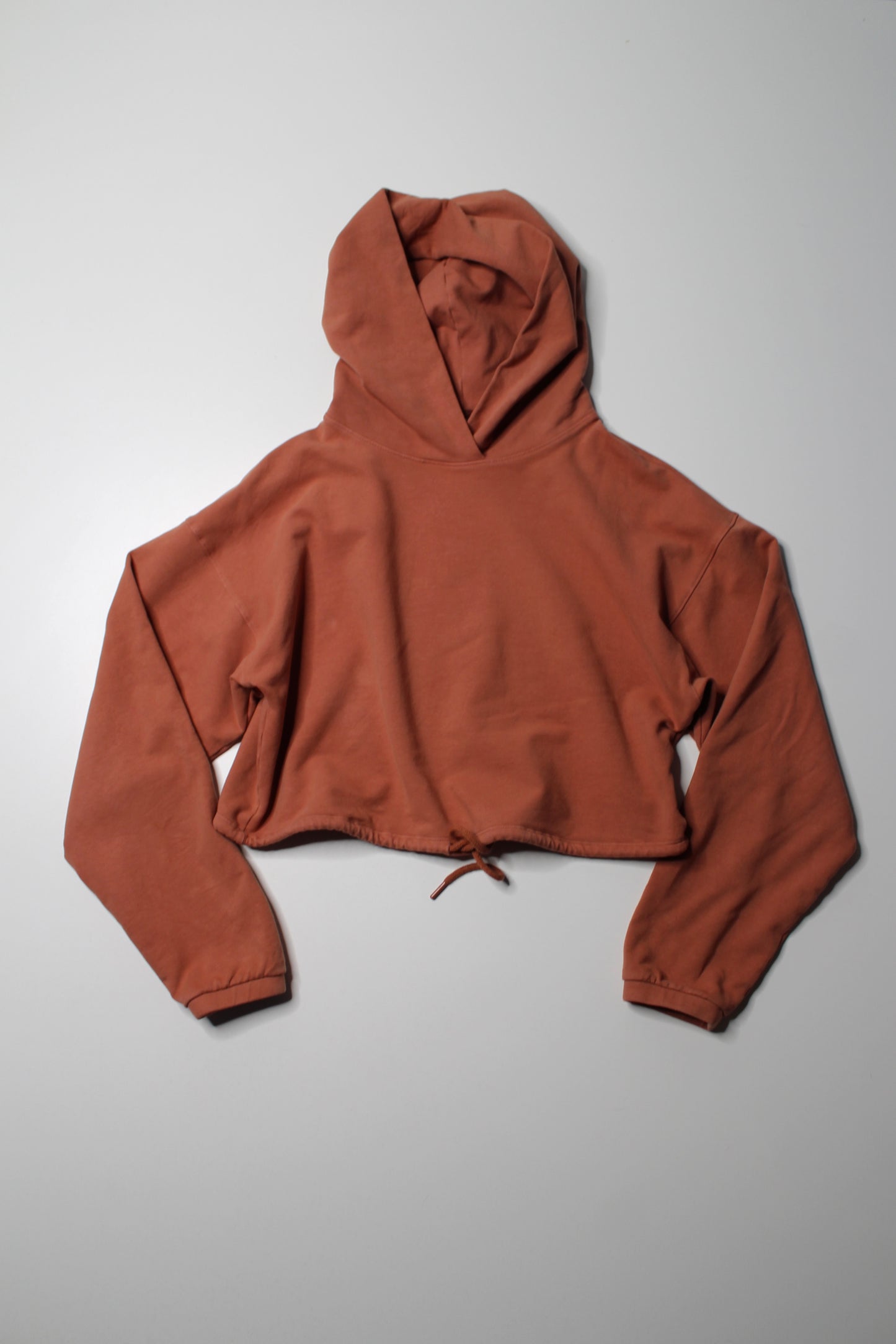 Aritzia The Group Babaton the constant rustic clay cropped hoodie, size small (relaxed fit)