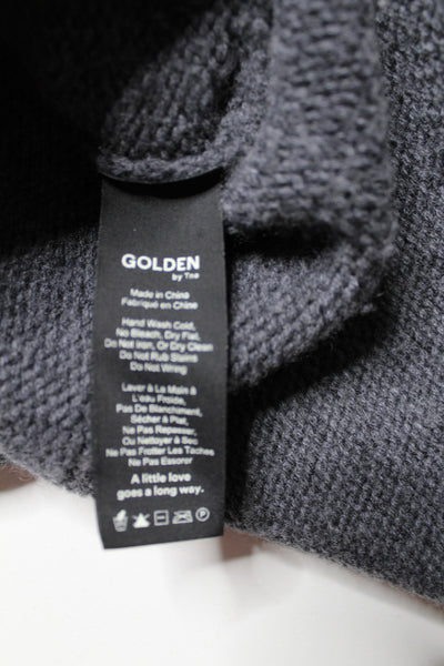 Aritzia Golden by TNA grey knit turtleneck sweater, size small (loose fit) (price reduced: was $36)