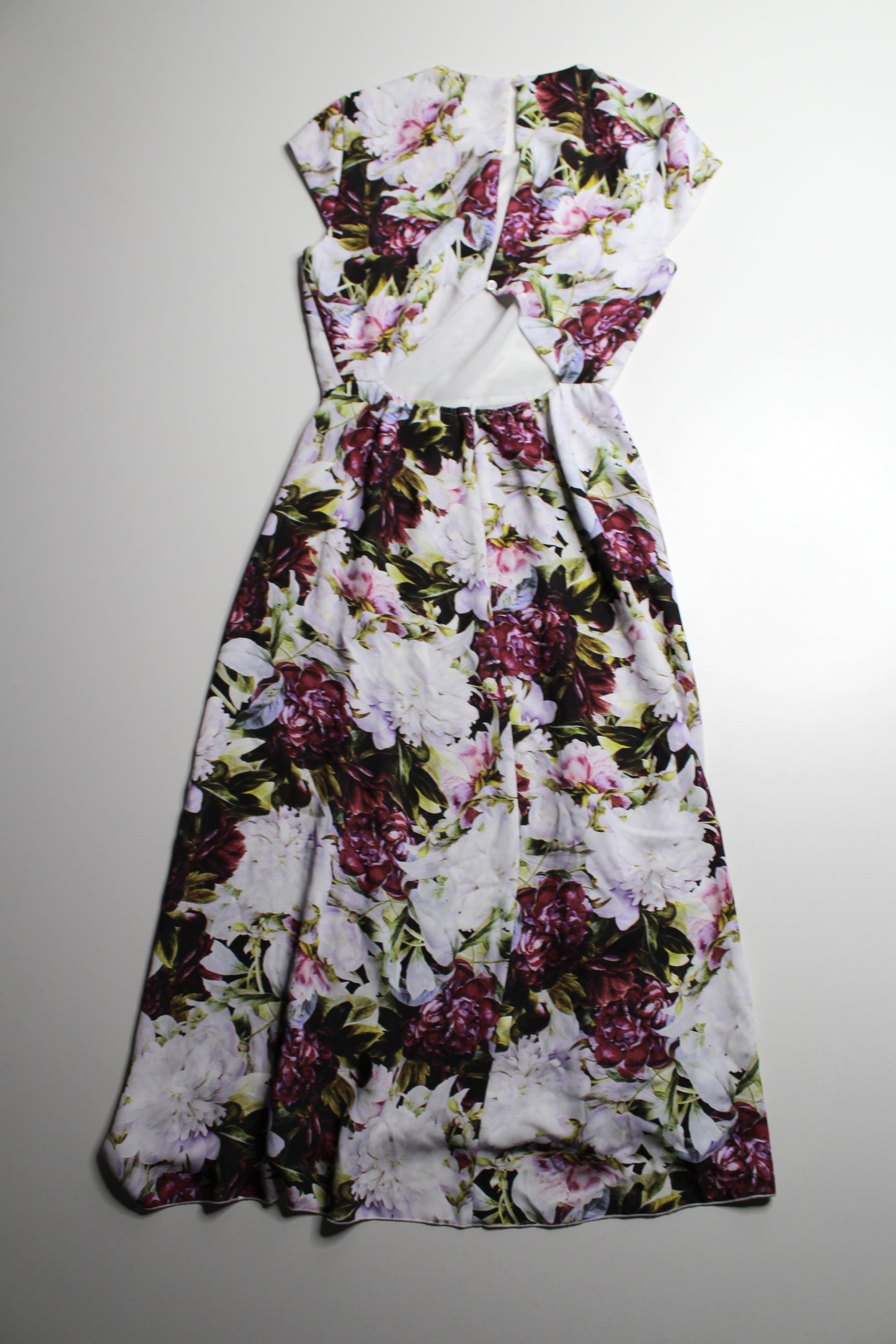 Aritzia Babaton floral midi dress, size 2