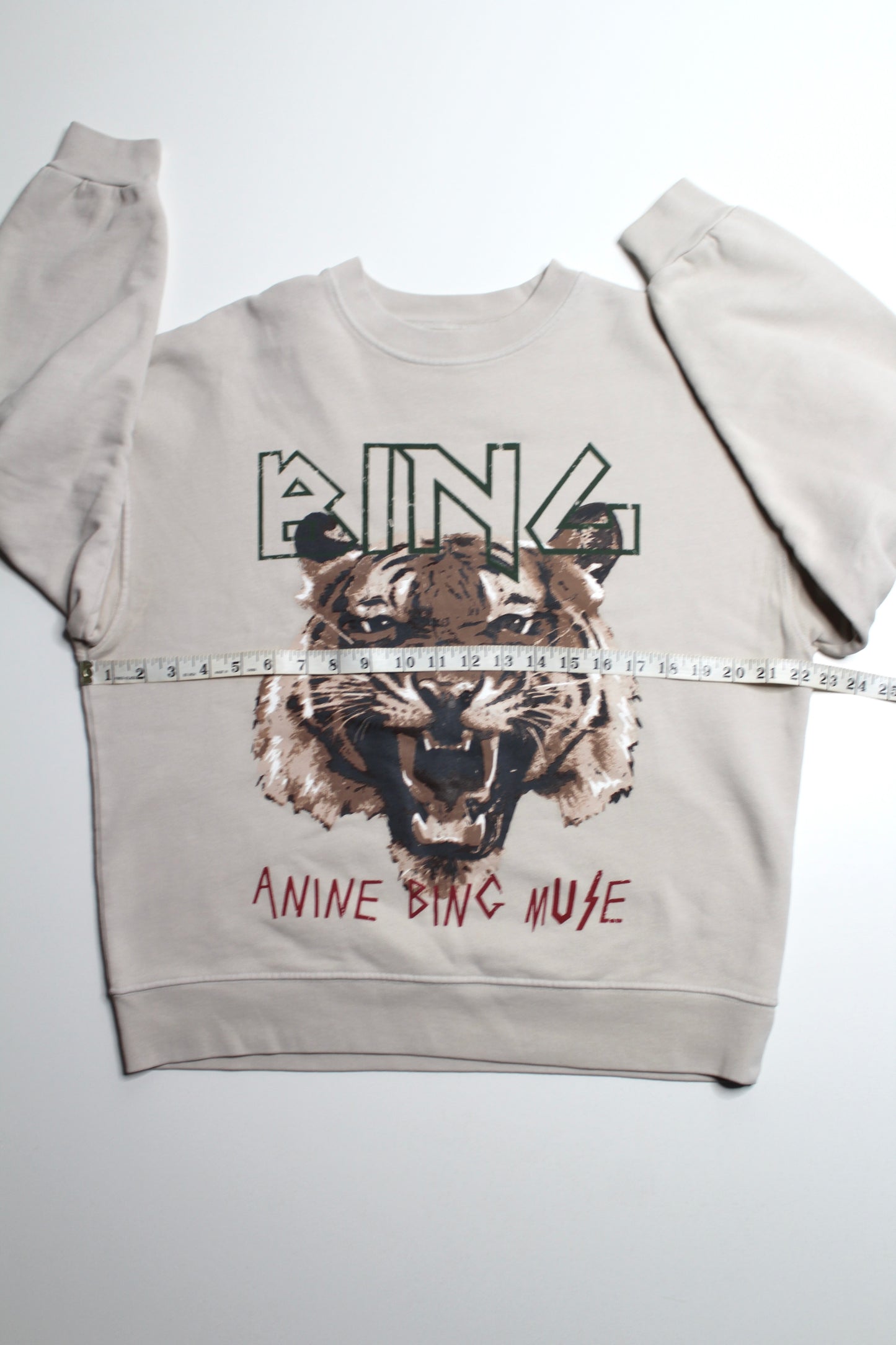Anine Bing graphic crew neck sweatshirt, size medium (loose fit) *new without tags
