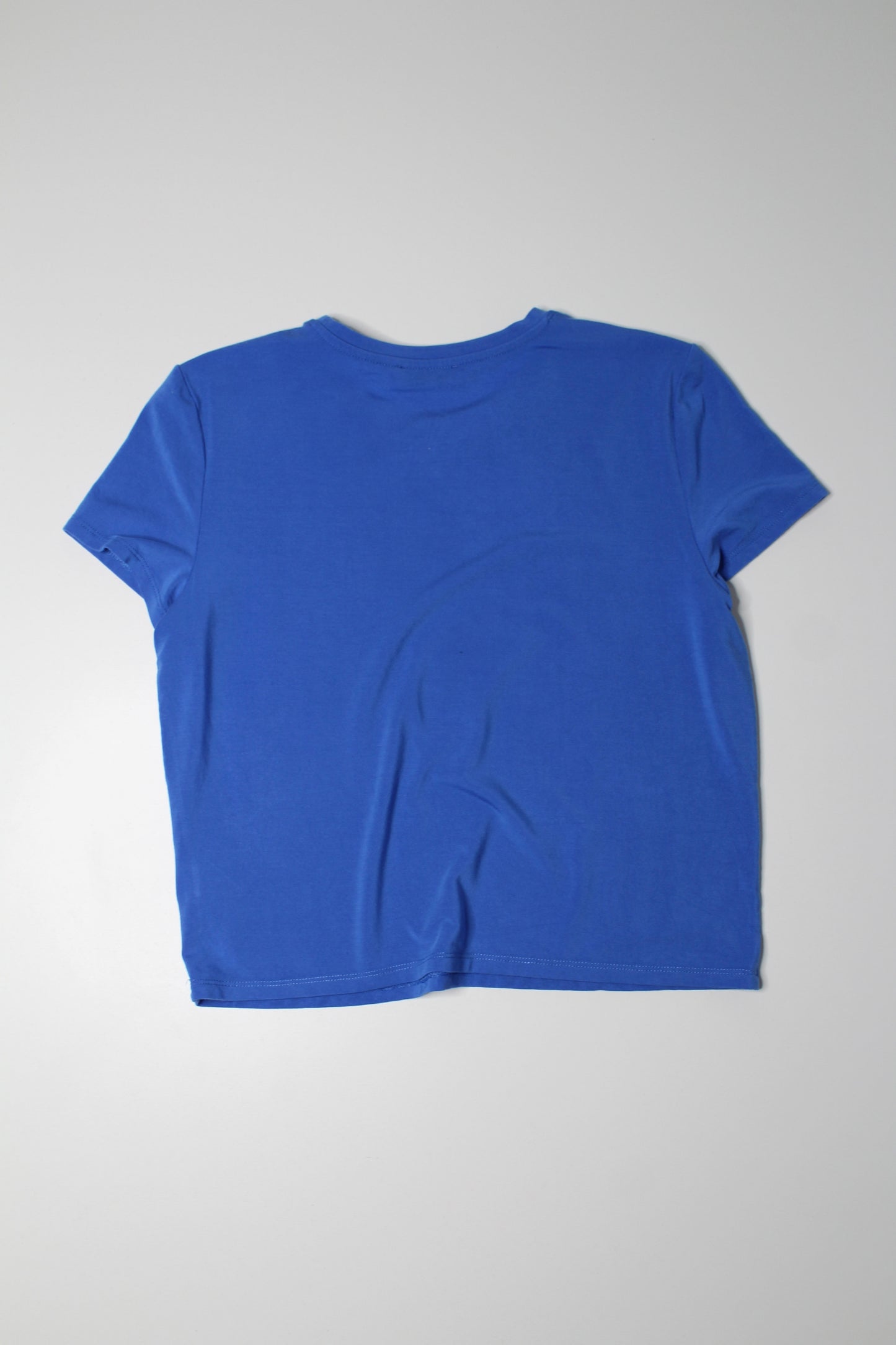 Aritzia Babaton blue everyday t shirt, size medium