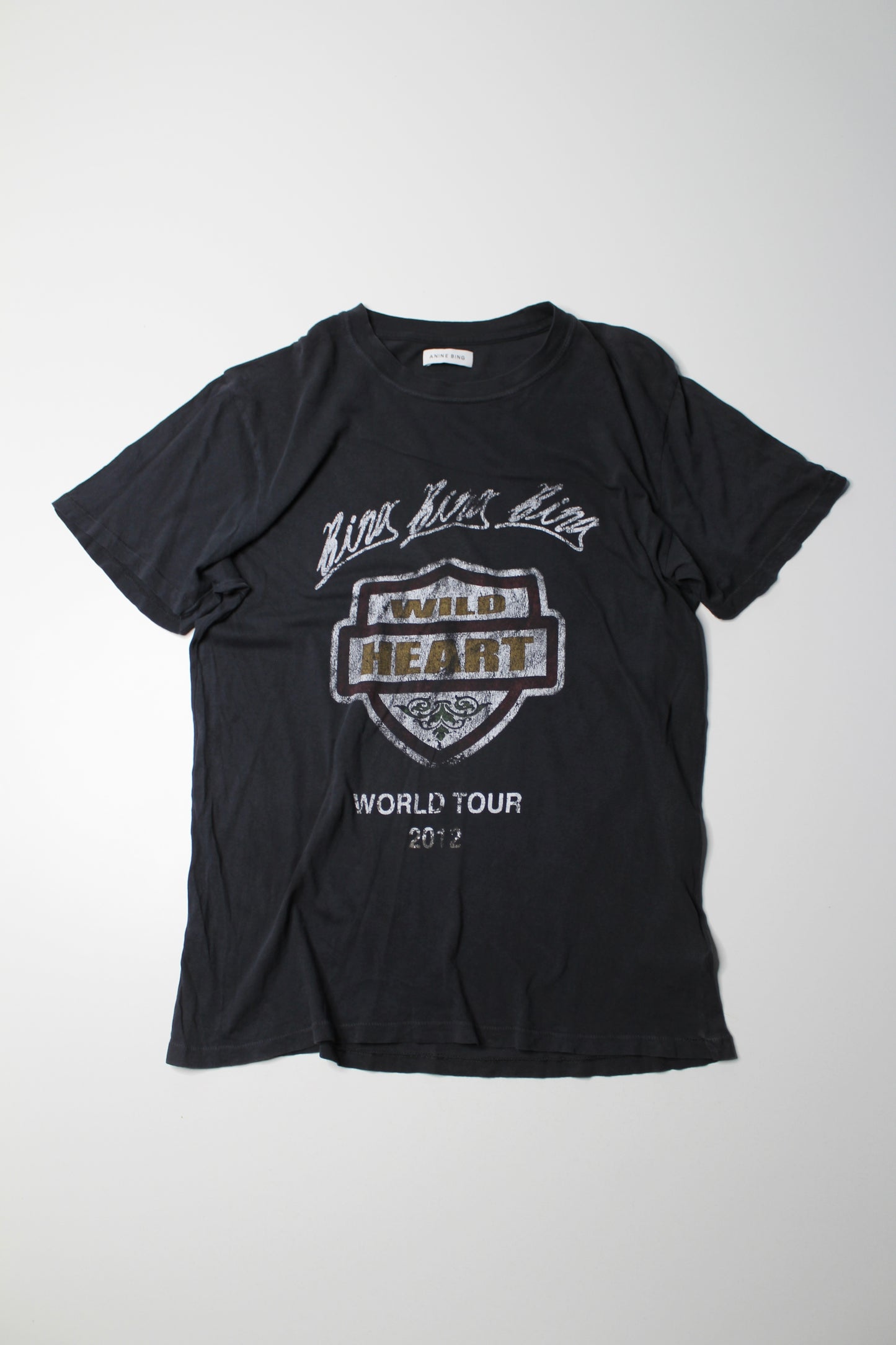 Anine Bing graphic lili tee bing tour washed t shirt, size medium (relaxed fit)