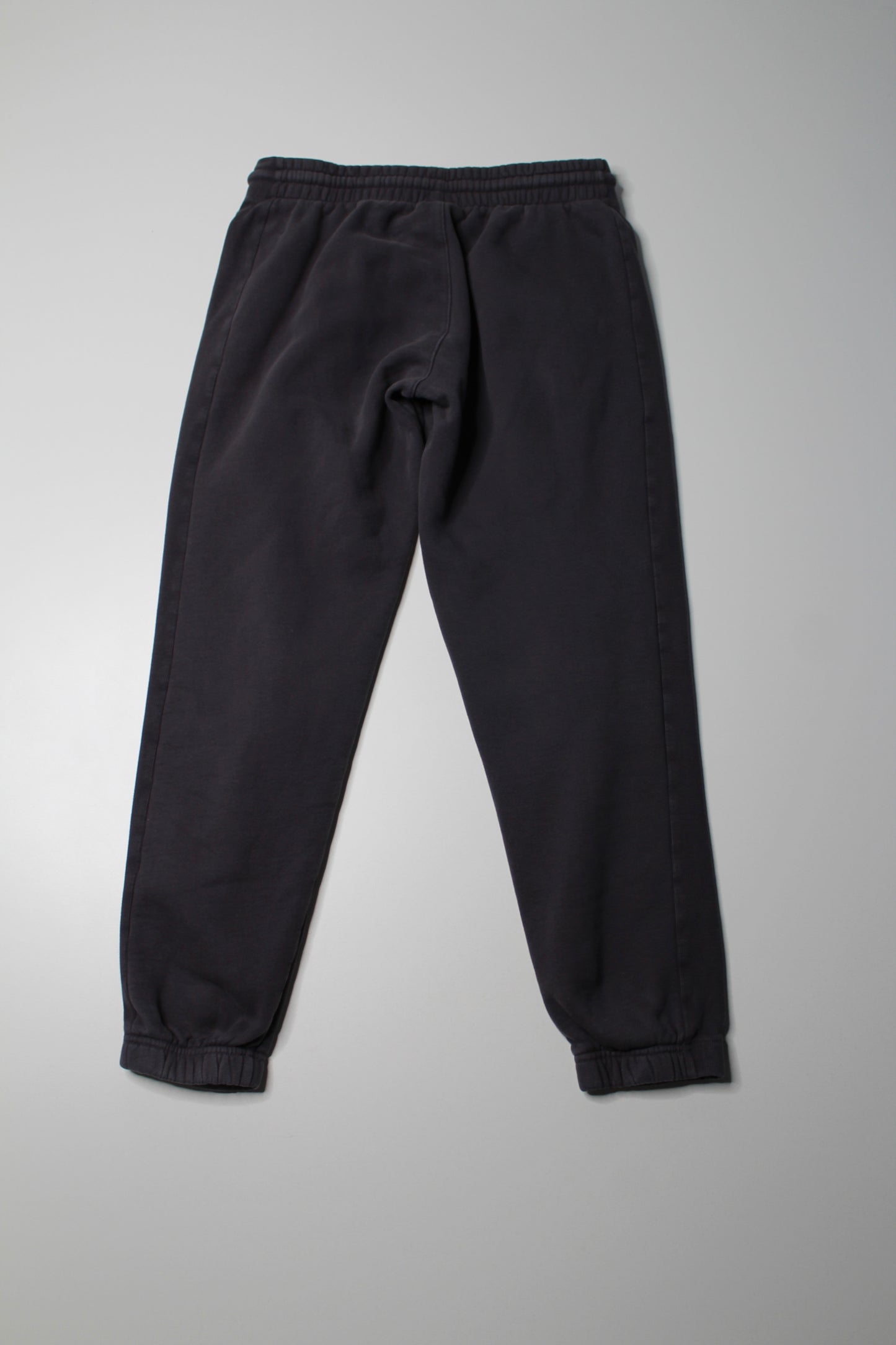 Aritzia TNA grey COZY AF fleece joggers, size small (matching sweatshirt available)