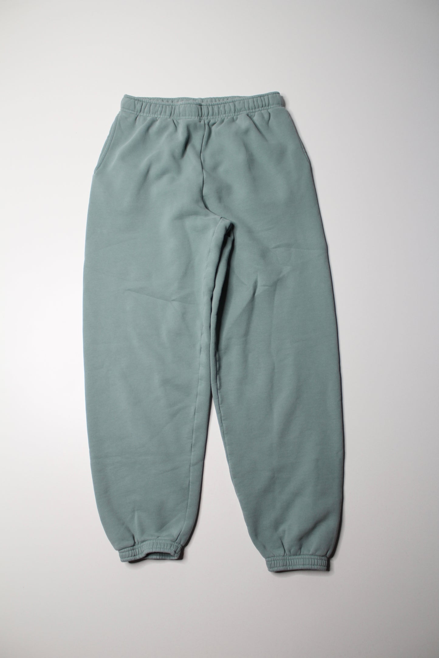 Aritzia TNA sage ‘COZY AF’ fleece joggers, size small (loose fit)