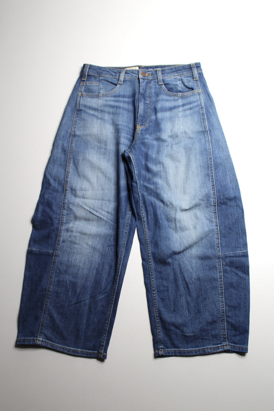 Anthropologie Pilcro barrel jeans, size 28