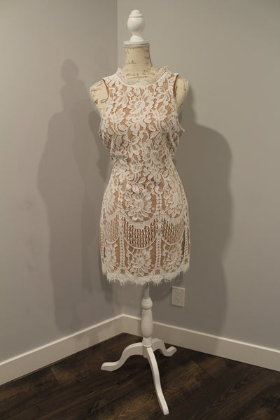 Entro white lace/nude overlay shift dress, size 4