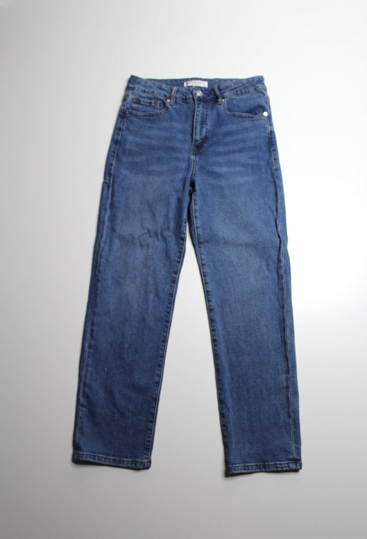 EVER NEW high-rise straight leg jeans, size 6 (fit like 27)