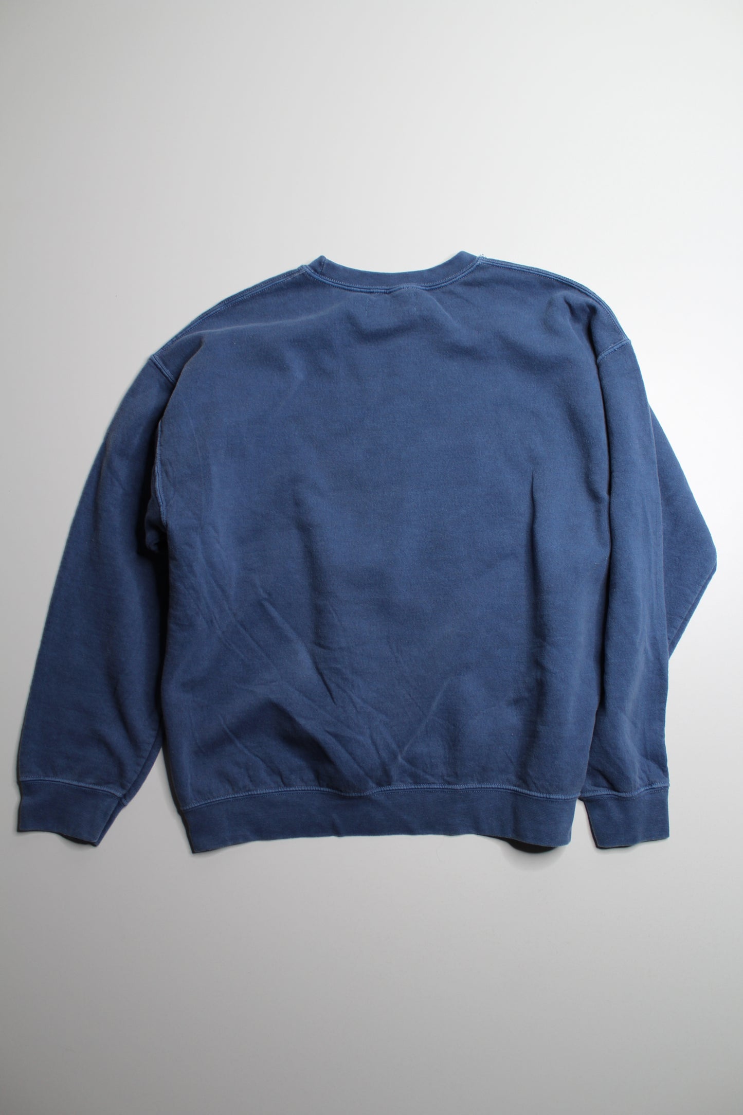 Anthropologie dachshund graphic sweater, size small (oversized fit)