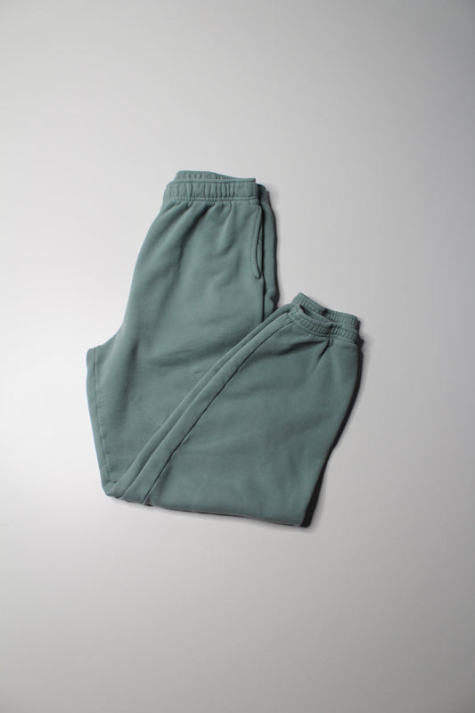 Aritzia TNA sage ‘COZY AF’ fleece joggers, size small (loose fit)