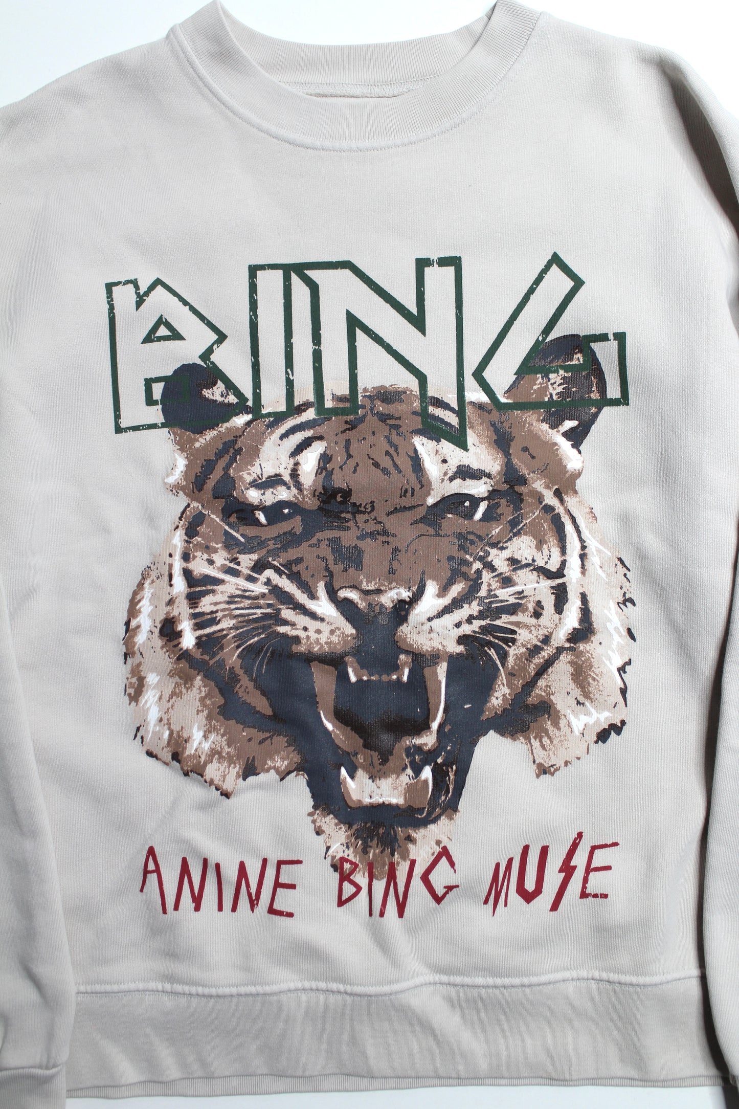 Anine Bing graphic crew neck sweatshirt, size medium (loose fit) *new without tags