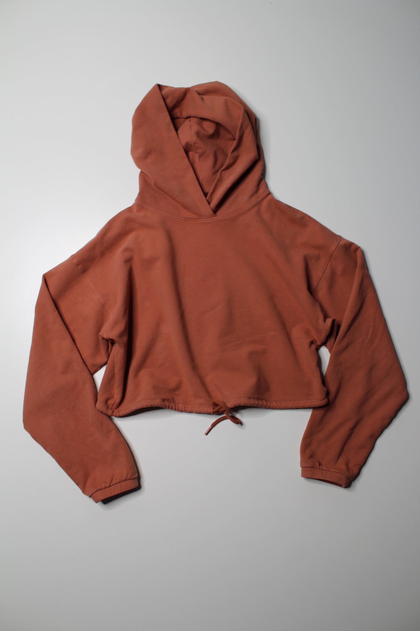 Aritzia The Group Babaton the constant rustic clay cropped hoodie, size small (relaxed fit)