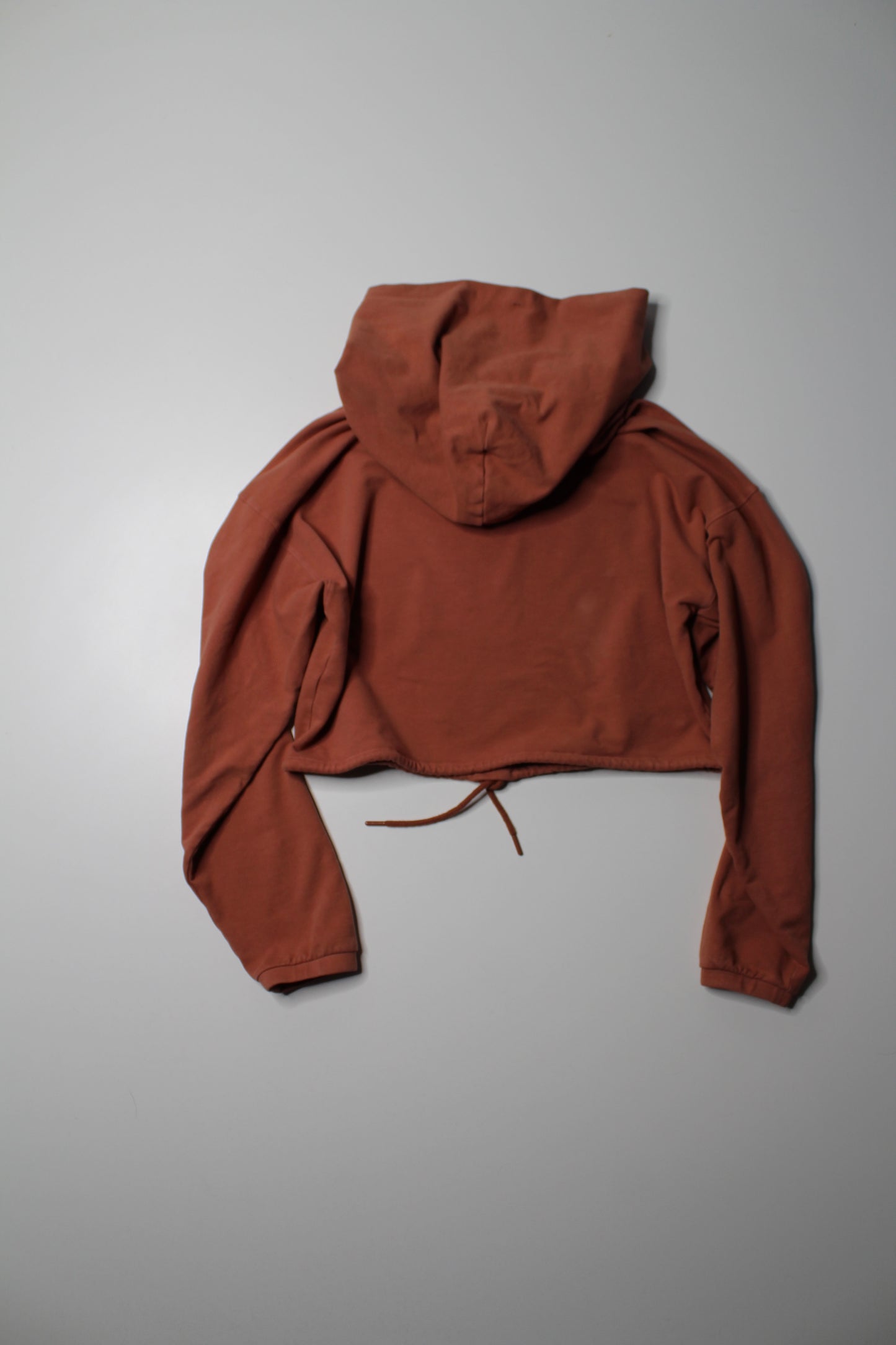 Aritzia The Group Babaton the constant rustic clay cropped hoodie, size small (relaxed fit)