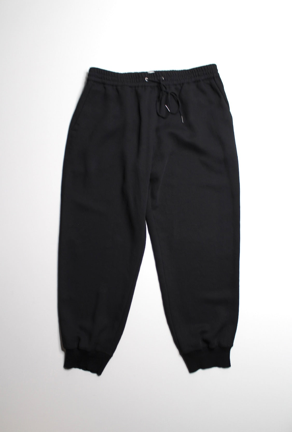 Aritzia Wilfred black dress pant jogger, size large