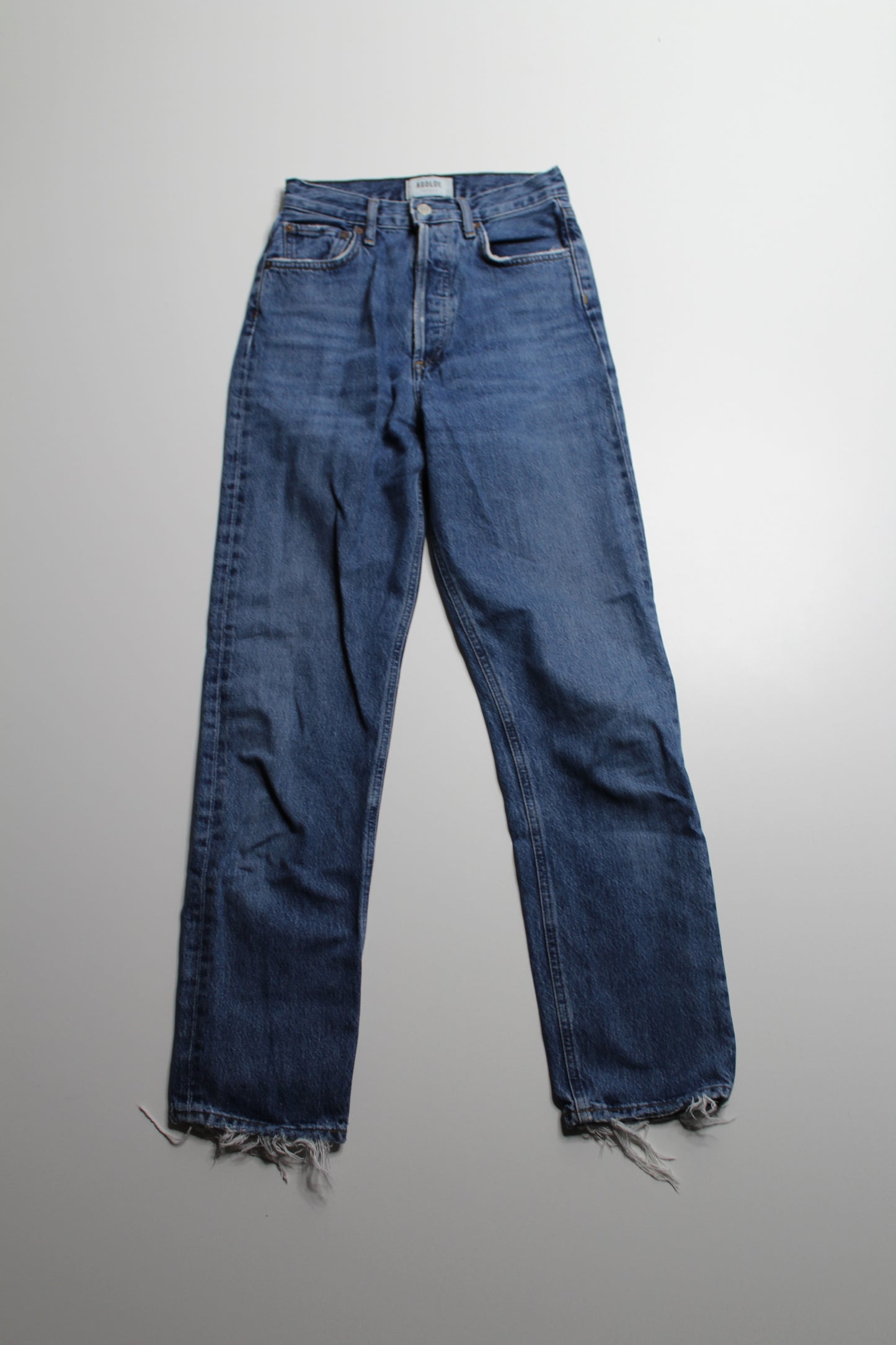 AGOLDE '90s pinch waist' straight leg jeans, size 23