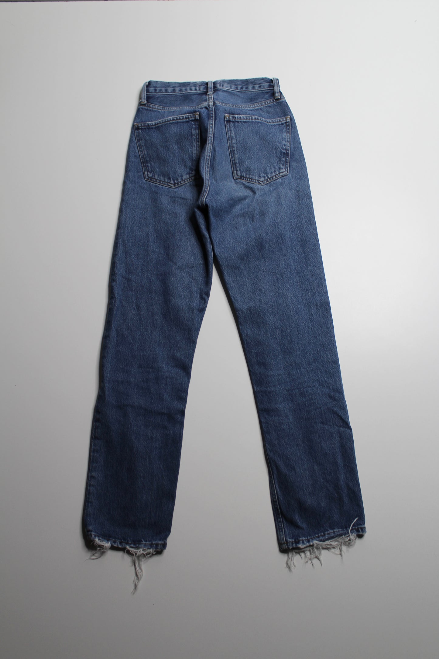AGOLDE '90s pinch waist' straight leg jeans, size 23