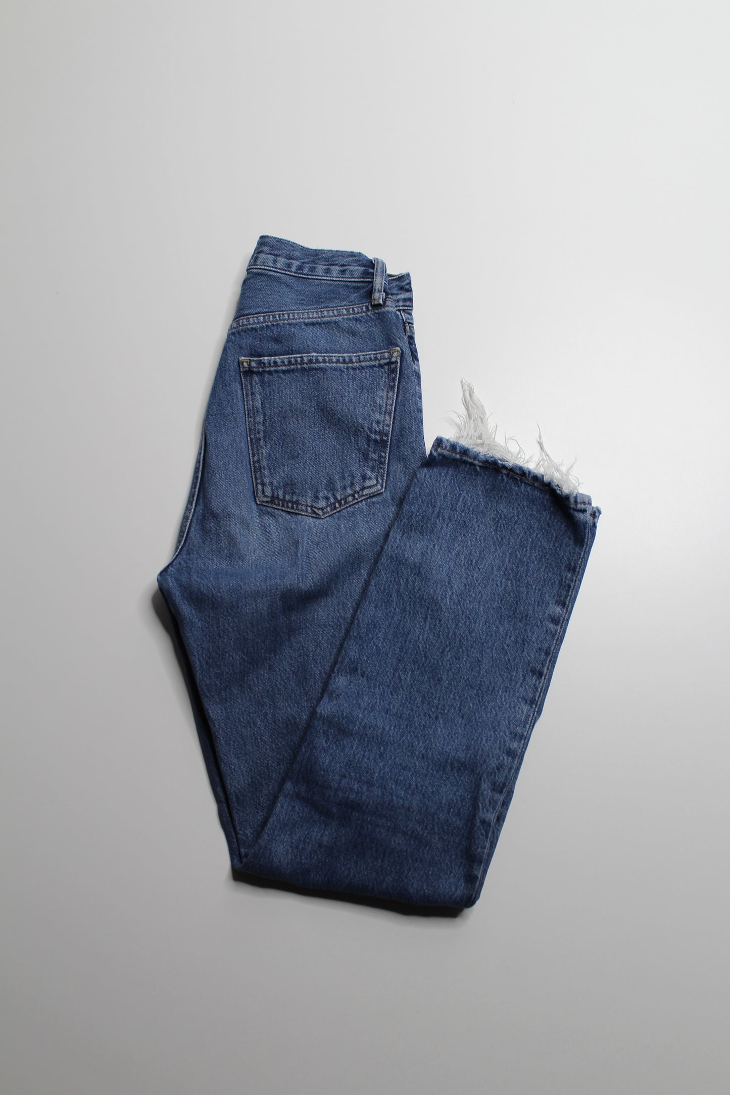 AGOLDE '90s pinch waist' straight leg jeans, size 23
