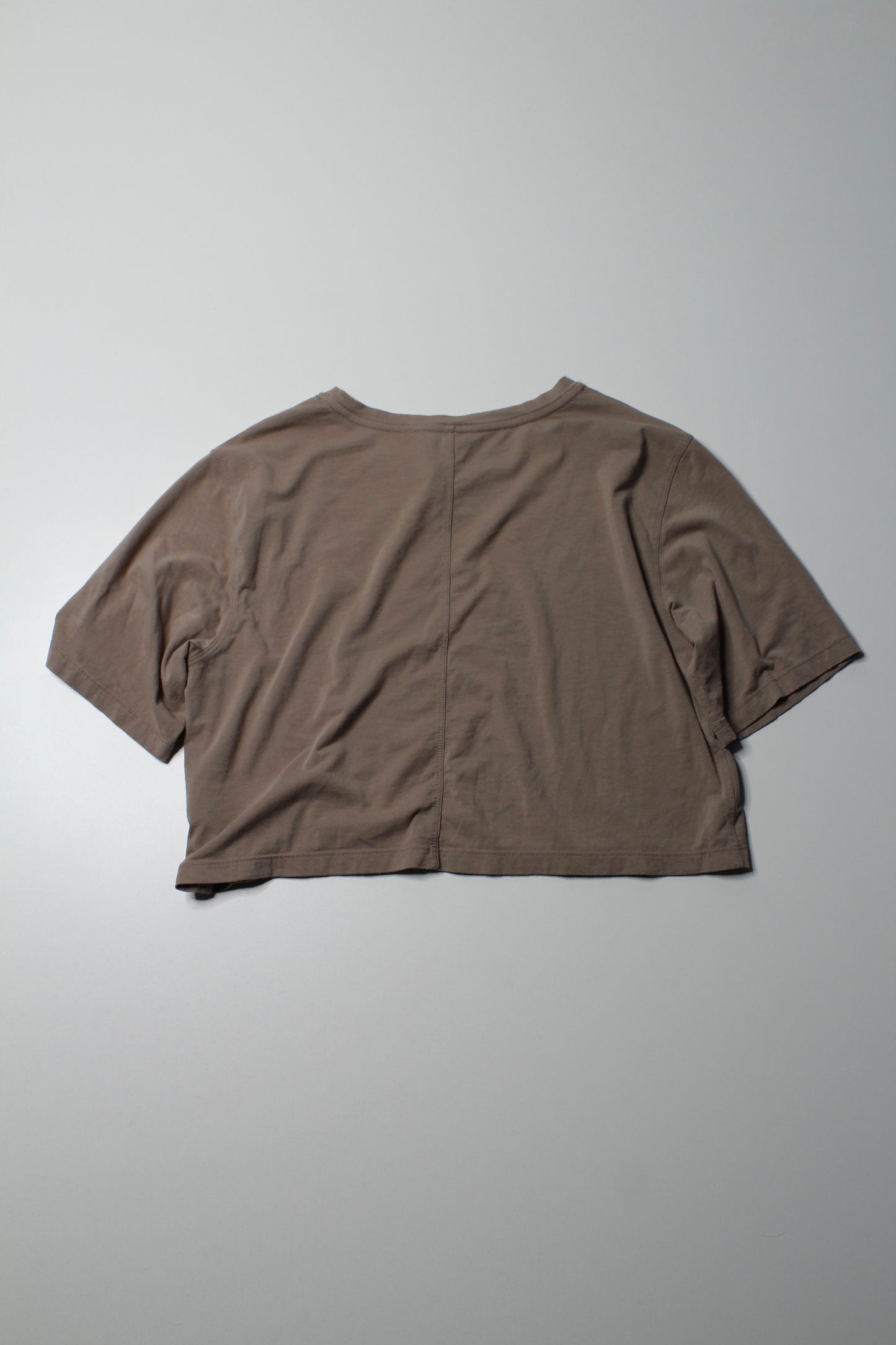 Aritzia The Group Babaton taupe cropped t shirt, size xs (oversized loose fit)