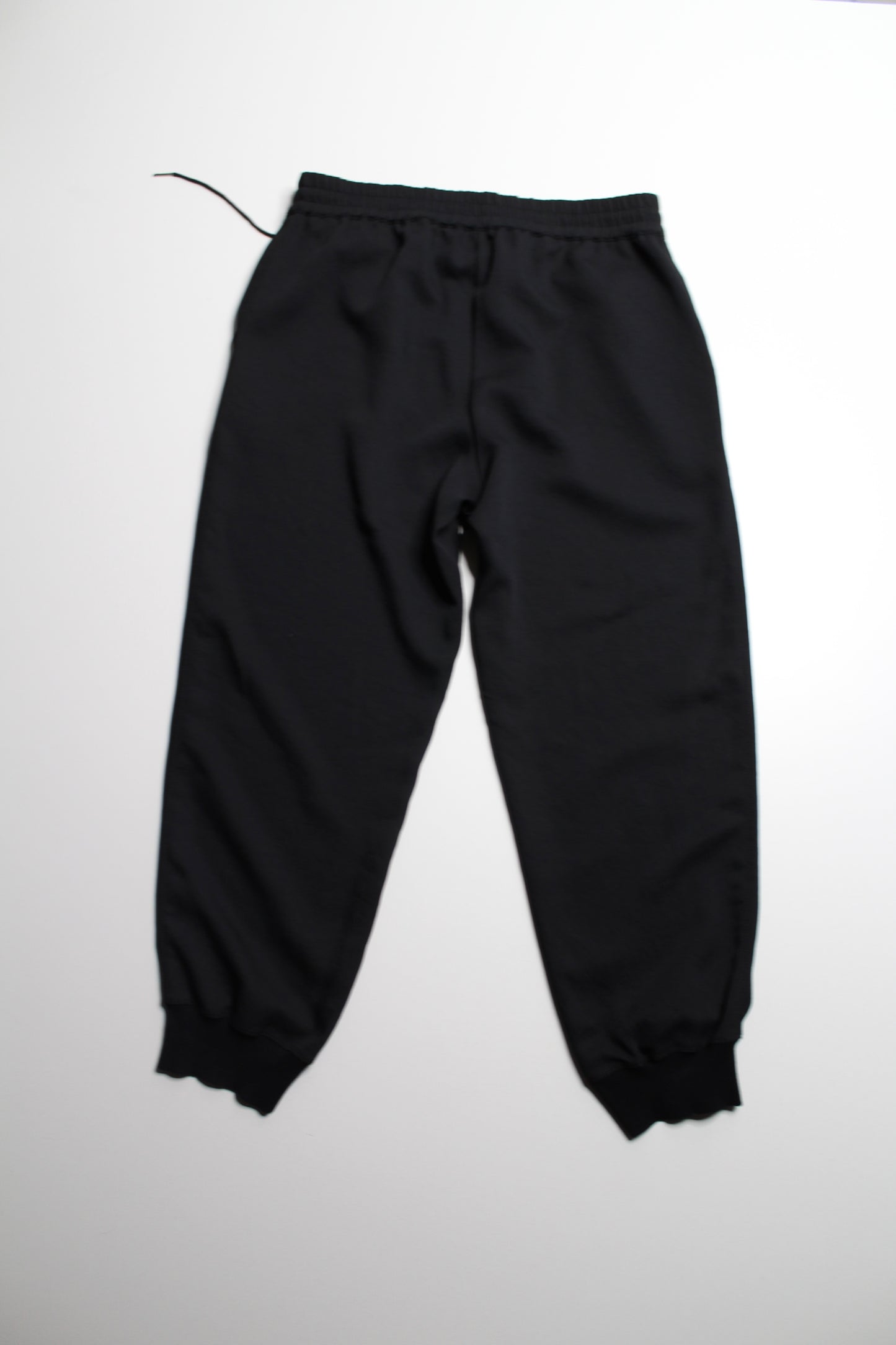 Aritzia Wilfred dress pant style jogger, size medium