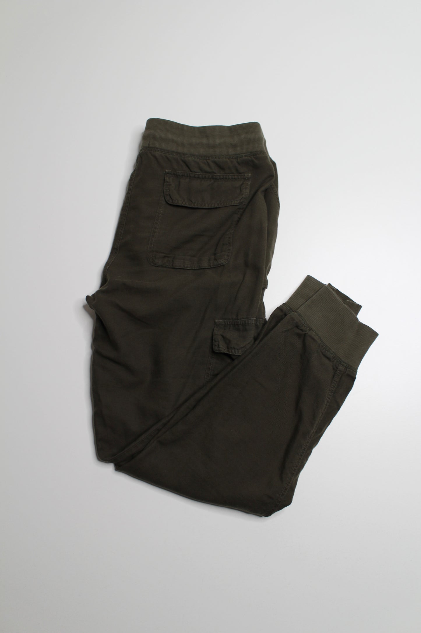 Aritzia community olive cargo jogger, size small (price reduced: was $35)