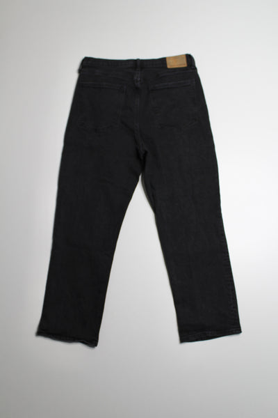 Aritzia Denim Forum arlo high rise straight leg black jeans, size 30 (26L)