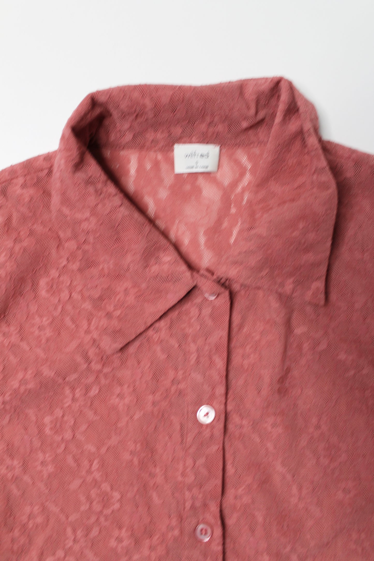 Aritzia Wilfred blush lace button up blouse, size small (price reduced: was $36)